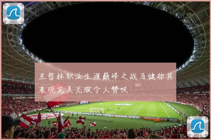 王哲林职业生涯巅峰之战马健称其表现完美无瑕令人赞叹