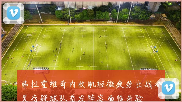 弗拉霍维奇内收肌轻微疲劳出战都灵存疑球队首发阵容面临考验