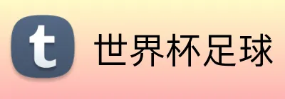 世界杯足球 Logo